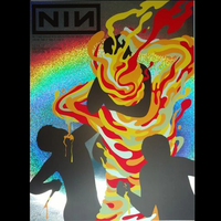 2017-12-16: Houston, TX, Day For Night Festival (Sparkle Foil Variant)