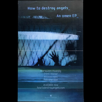 How To Destroy Angels An Omen EP Promo Poster