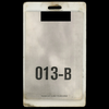 Live: With Teeth 2005 - Fall Tour All Access Laminate Pass - view 2