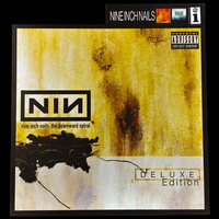 The Downward Spiral Deluxe Edition Cover Art LP Divider