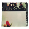 The Fragile Spiral Notebook - view 2
