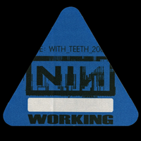 Live: With Teeth - Working Blue Triangle Pass