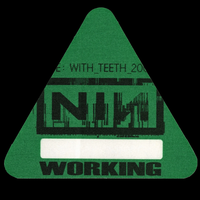 Live: With Teeth - Working Green Triangle Pass