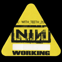 Live: With Teeth - Working Yellow Triangle Pass